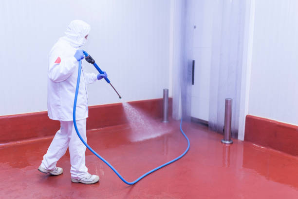 Best Post-Construction Pressure Washing  in Corydon, IN